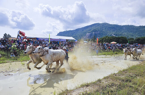 Sân chơi hấp dẫn vùng Bảy Núi