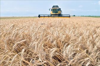 Ukraine ban hành quy định mới về xuất khẩu nông sản