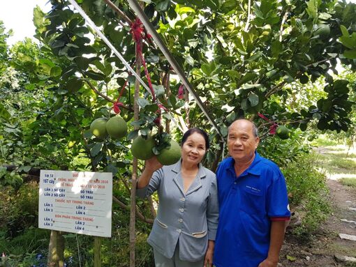 Gỡ khó để phát huy sản phẩm OCOP