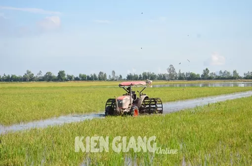 Kiên Giang: Nhiều nỗi lo khi lũ thấp