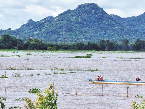 Về miền nước nổi