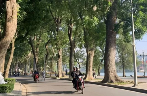 Ngày 4/11, nhiều khu vực ngày nắng, chiều tối và đêm có mưa rào và dông