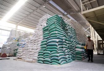Giá lúa tại khu vực ĐBSCL duy trì ở mức cao nhờ trợ lực xuất khẩu