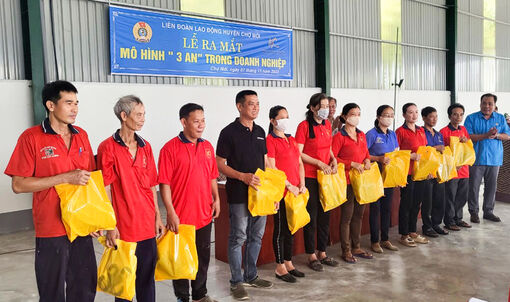 Thêm doanh nghiệp ra mắt mô hình “3 an”