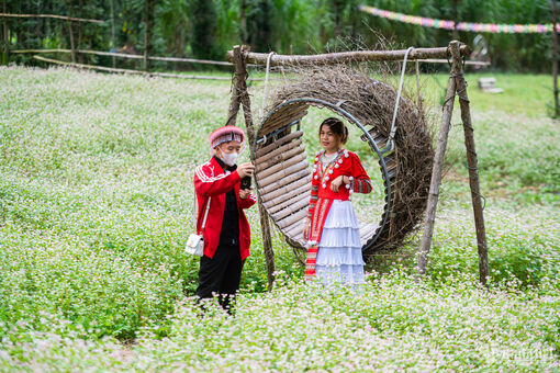 Du khách thi nhau săn ảnh mùa hoa tam giác mạch Hà Giang