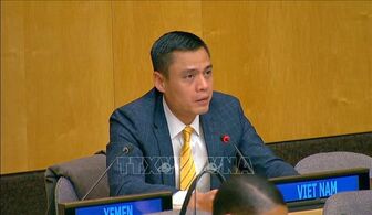 Việt Nam đóng góp tích cực, trách nhiệm vào công việc của IAEA