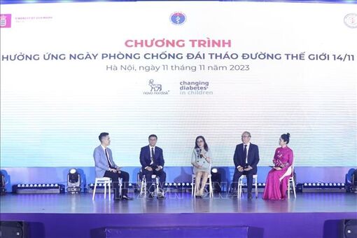 Khoảng 4 triệu người Việt Nam đang sống chung với căn bệnh đái tháo đường