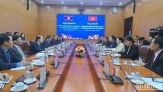 Không ngừng củng cố, tăng cường quan hệ đặc biệt Việt Nam-Lào