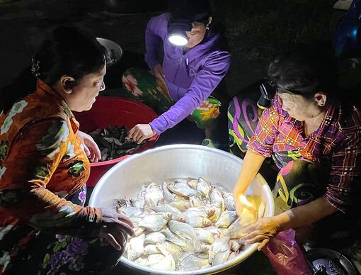 Đi chợ mùa nước nổi