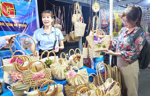 Độc đáo sản phẩm thủ công mỹ nghệ lục bình