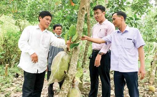 Cần Thơ: Hỗ trợ duy trì và mở rộng việc làm