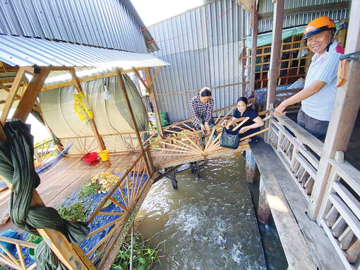 Nơi trú ẩn an toàn của đàn cá hoang