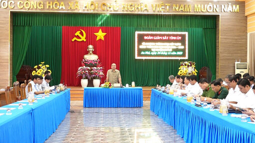 Tỉnh ủy giám sát Chương trình mục tiêu quốc gia xây dựng nông thôn mới huyện An Phú