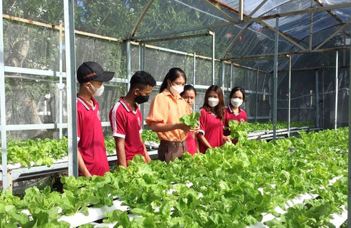 An Giang nâng cao chất lượng nguồn nhân lực