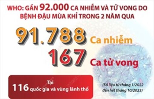 WHO: Gần 92.000 ca nhiễm và tử vong do bệnh đậu mùa khỉ trong 2 năm qua