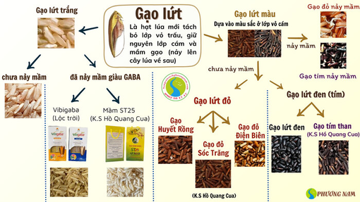 Ăn gạo lứt có tốt không? 9 tác dụng của gạo lứt bạn nên biết