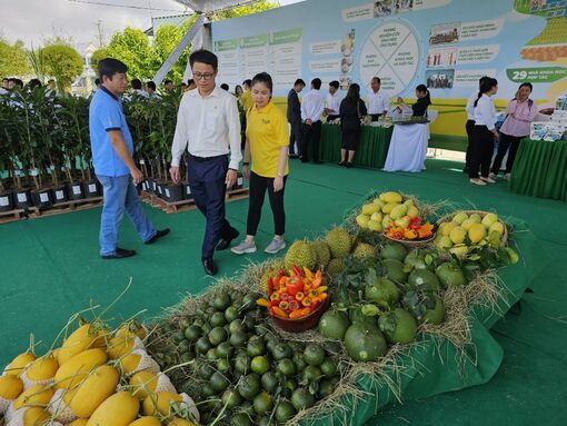 Tăng mạnh liên kết sản xuất