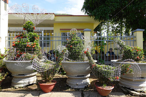 Nghề trồng bông trang