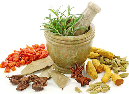 An Giang đấu thầu qua mạng 197 mặt hàng thuốc dược liệu, cổ truyền trị giá trên 142,7 tỷ đồng