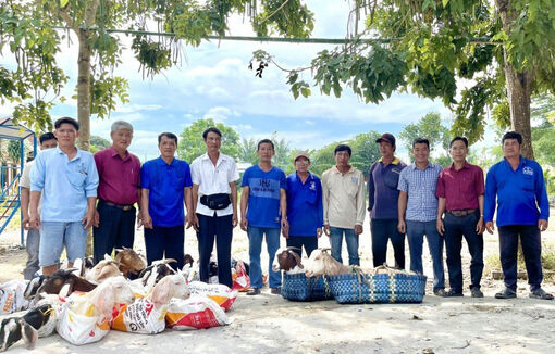 Thêm 12 hộ ở Phú Tân được trao dê giống sinh sản để chăn nuôi giảm nghèo