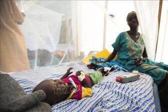 Thêm hàng nghìn ca nghi mắc bệnh tả tại Sudan