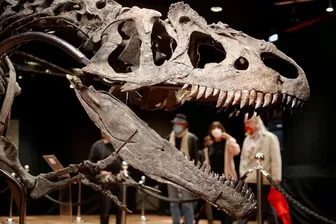 Giả thuyết mới về nguyên nhân khiến loài khủng long tuyệt chủng