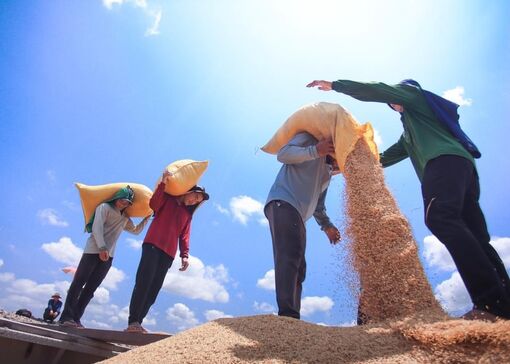 Long An: Kinh tế tăng trưởng khả quan