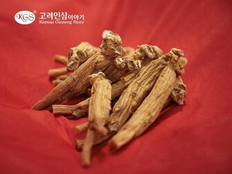 Korean Ginseng Story - Món quà cho sức khỏe toàn diện