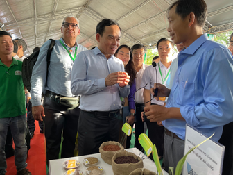 Trường Đại học An Giang- Đại học Quốc gia Hồ Chí Minh tham gia Festival quốc tế ngành hàng lúa gạo Việt Nam – Hậu Giang năm 2023