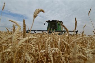 Nga, Liên hợp quốc thảo luận cung cấp miễn phí ngũ cốc cho các nước nghèo