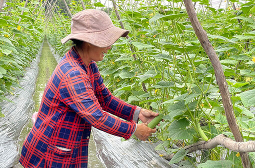 Trả lời chất vấn về ngành nghề nông thôn