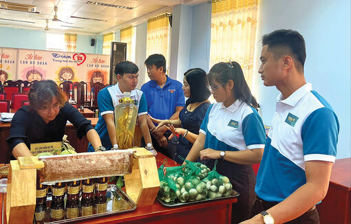 Khởi nghiệp đổi mới sáng tạo