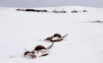 Mông Cổ: Tuyết dày gần 40cm bao phủ 90% lãnh thổ, báo hiệu mùa Đông khắc nghiệt