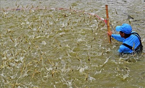 Giải pháp đổi mới khuyến khích nông dân phát triển kinh tế