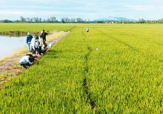 Phát triển nông nghiệp ở huyện Châu Phú