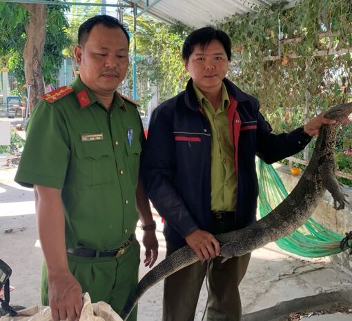 Công an thị trấn Long Bình tiếp nhận con kỳ đà hoa nặng 5,5kg
