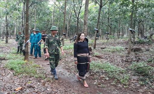 Đấu tranh hiệu quả với các loại tội phạm trên tuyến biên giới