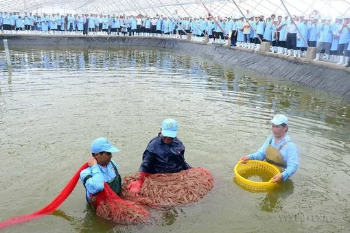 Bạc Liêu: Mức thưởng Tết Nguyên đán cao nhất là 50,3 triệu đồng