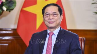 Phát huy bản sắc ngoại giao 'cây tre Việt Nam'