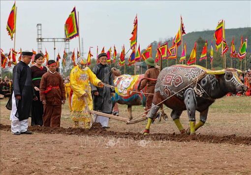 Bảo tồn Lễ hội Tịch điền - Đọi Sơn gắn với phát triển du lịch quốc gia