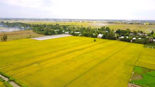 Huyện Thoại Sơn - một năm nỗ lực
