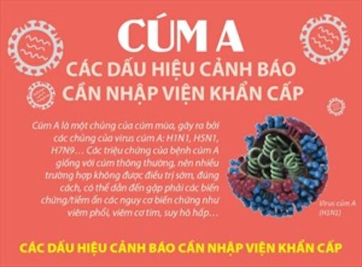 Cúm A: Các dấu hiệu cảnh báo cần nhập viện khẩn cấp