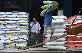 Giá gạo tại các 'vựa lúa' lớn của châu Á vẫn ổn định