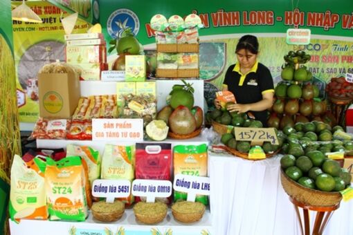 Vĩnh Long: Thúc đẩy phát triển nông nghiệp công nghệ cao