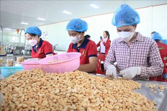 'Thông luồng' xuất khẩu nông sản Việt