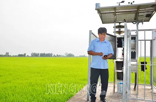 Kiên Giang: Hiệu quả chuyển đổi số nông nghiệp