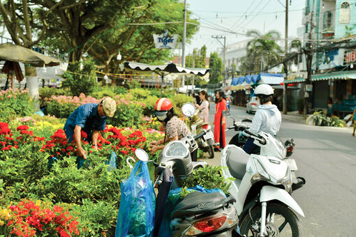 Rộn ràng chợ hoa Xuân