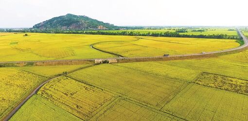 Tản mạn cung đường đẹp ở An Giang