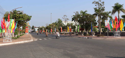 Đón Xuân trên huyện cù lao Phú Tân