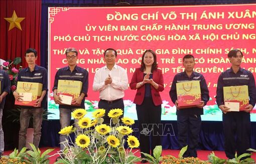 Phó Chủ tịch nước Võ Thị Ánh Xuân thăm, tặng quà Tết gia đình chính sách tại Long An